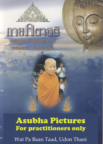 read more about the book: Asubha Pictures 